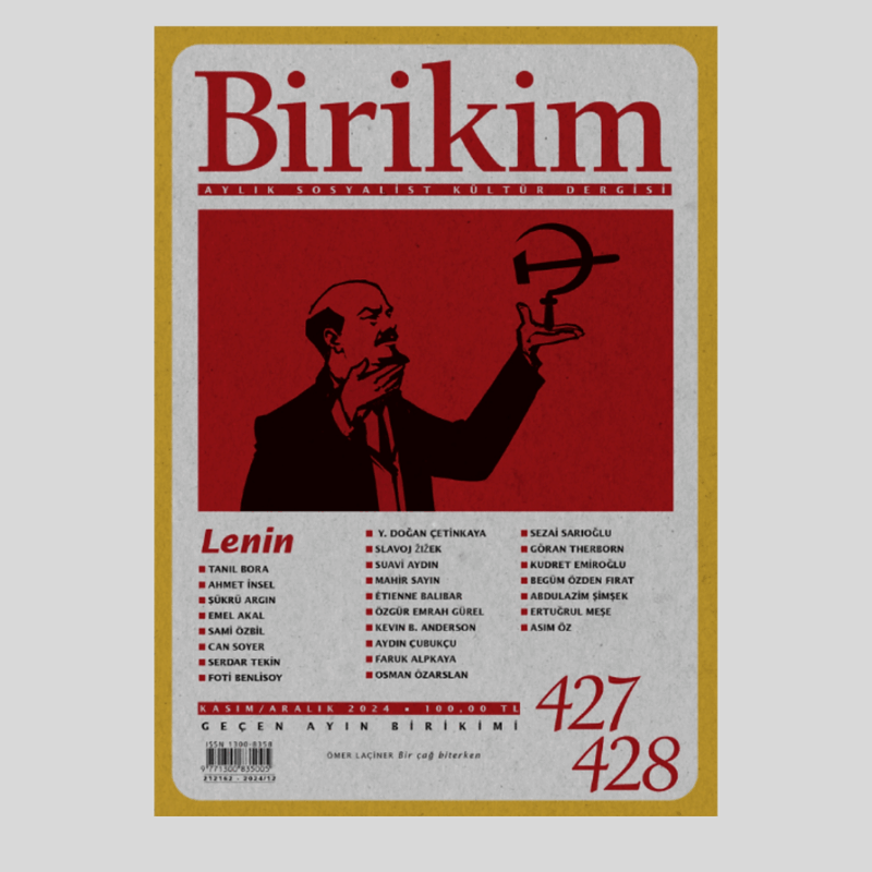Birikim 2024/12