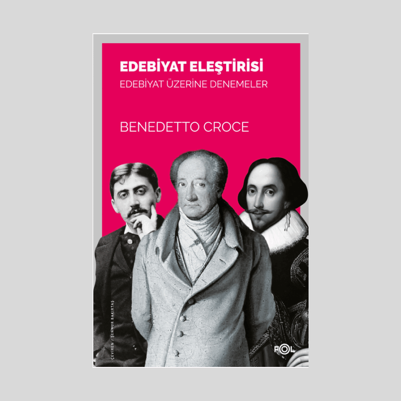 Edebiyat Eleştirisi