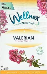 Wellnax Valerian Oda Kokusu 21 gr