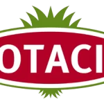 Otacı