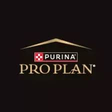 Pro Plan