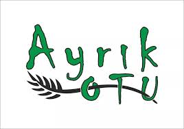 Ayrıkotu Yayınları